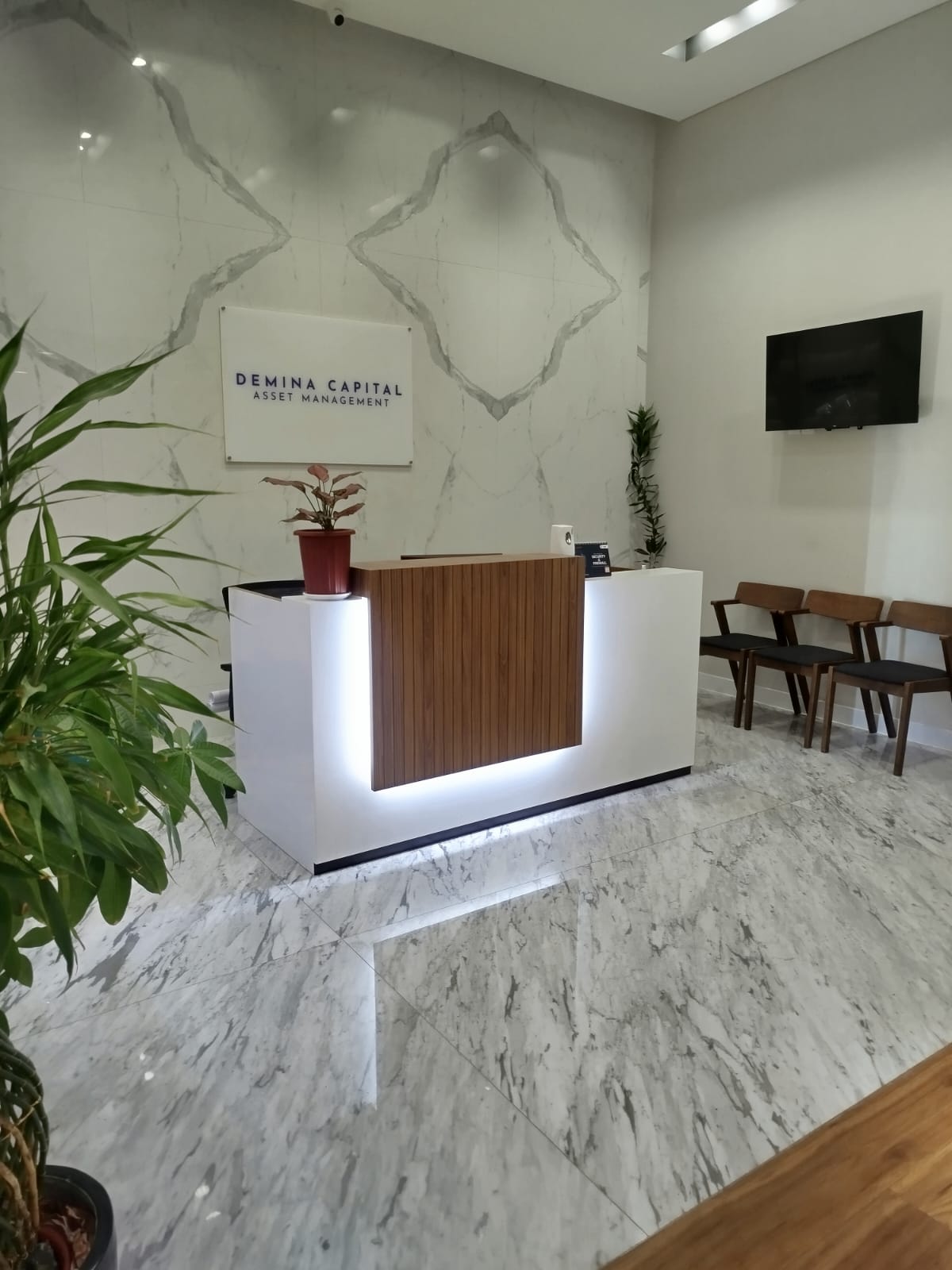 Demina Capital